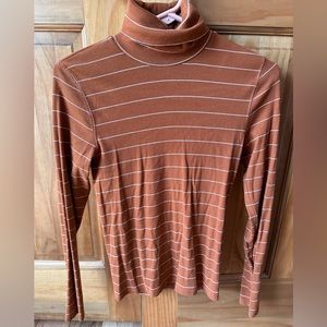 Everlane Fitted Turtleneck | Like New